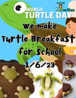 Turtle breakfast